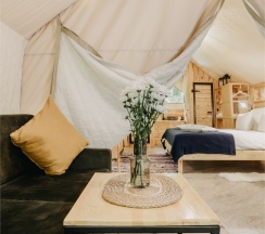 LUXE+ в Лес