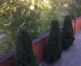 Двухместный номер в Форсаж