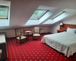Улучшенный с мансардным окном в Golden Hotel