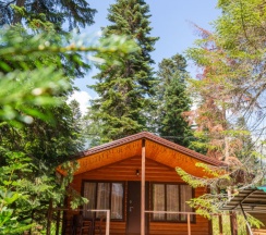 Двухместное шале с красивым видом из окна двуспальная кровать в Forest house resort