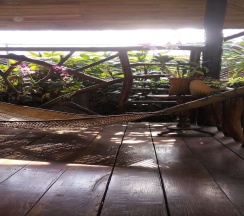 Бунгало в Orchid Homestay Buriram No1