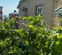 Стандартный трехместный номер в Ямал