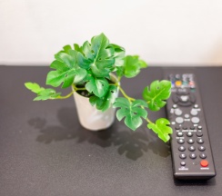 Квартира в RentPlaza