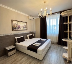 Улучшенный двухместный номер с двуспальной или 2 односпальными кроватями в VIP 29