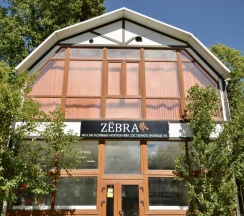 Двухкомнатная квартира в Zёbra House