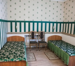 Номер стандарт с 2 односпальными кроватями (с завтраком, мансарда) в Наташа