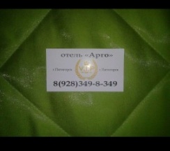 Одноместный номер в Арго