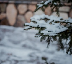 Студия в Арслан