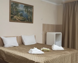 Одноместный стандарт в Spa-hotel Plaza