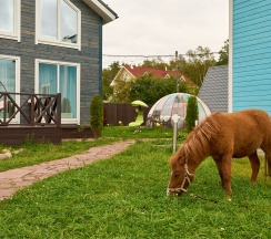 Дом с 3-мя спальнями и сауной в Ялкала