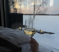 Studio с кроватью "queen size" на двоих (панорамное окно) в 4 стихии