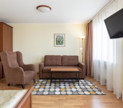 Джуниор сюит с видом на город в Карелия