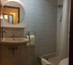 Одноместный номер Standard с балконом в Hotel Moselkern
