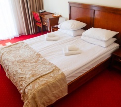 Двухместный номер с совместной кроватью в Универсал