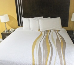 Двухместный номер Standard 2 отдельные кровати в Palacio Royale Inn Houston NW Beltway 8