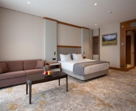 Номер улучшенный с 1 двуспальной кроватью в Источник