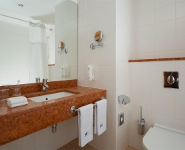 Номер стандарт с 1 двуспальной кроватью king-size в HolidayHall