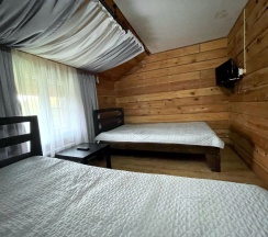 Стандарт Твин в Ковчег