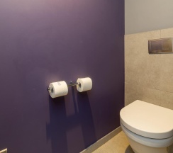 Номер представительский в Novotel