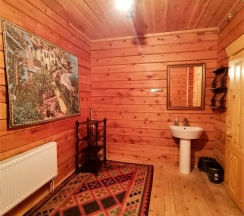 Дом Василевский в Николо-поле