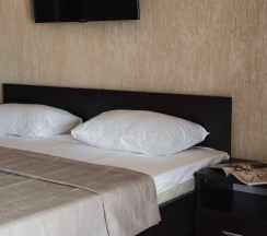 2-местный 1-комнатный номер люкс улучшенный в Ника