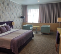 Номер стандарт с 1 двуспальной кроватью в Юрибей