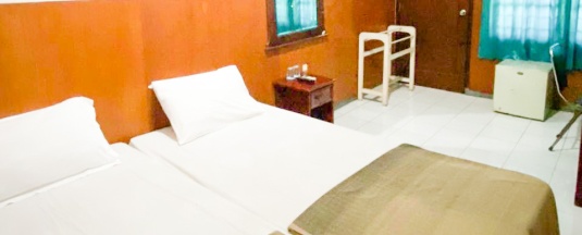 Двухместный номер Standard 2 отдельные кровати в Hotel Shabine