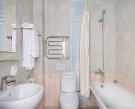 Номер делюкс №109 в Hotel central