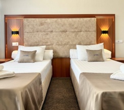 Стандарт с раздельными кроватями в Bridge hotel