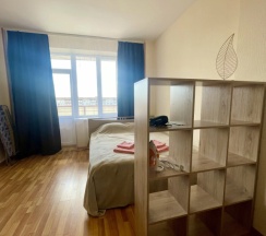 Апартаменты Standard в Квартира Pskov City 3 Mikhailovskaia 1