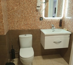 Делюкс DBL/SGL в Никольское
