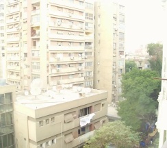 Одноместный номер Standard односпальная кровать в Rose Hotel Cairo
