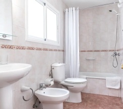 Одноместный номер Standard в Hotel Blanca Paloma