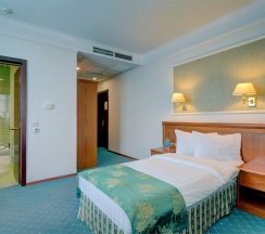 Стандарт одноместный в Альянс Бородино