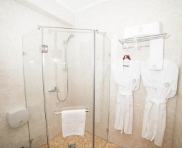 Двухместный номер Standard двуспальная кровать в Plaza Hotel Almaty
