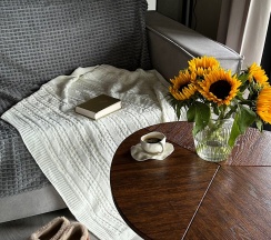 Lato-85 Plus в Домик в Икше