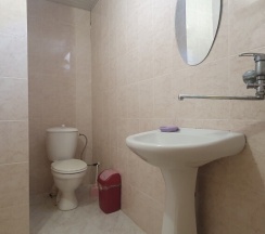 Стандарт в Мята