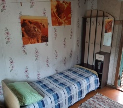 Линейный дом комната 5 в Дом Гружевских