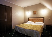 Номер стандарт эконом с 1 двуспальной кроватью (мансарда) в Гарден