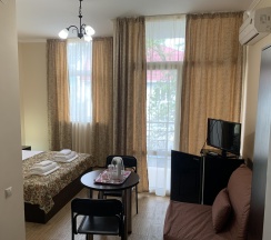 Номер стандарт с 1 двуспальной кроватью в Спарта