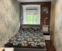 Двухместный номер Classic с видом на город двуспальная кровать в Октябрь