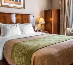 Двухместный номер Standard в Avion Inn Near LGA Airport, Ascend Hotel Collection