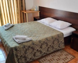 Номер стандарт с 1 двуспальной кроватью в Гостевой дом