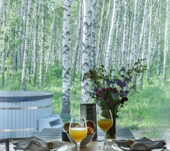 Домик четырехместный рядом с купелью в Norke Есенинская Русь