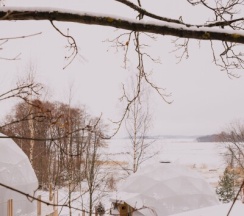 Глэмп №6 на дереве в Vyborg Bay
