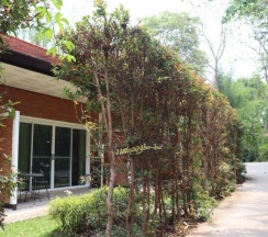 Двухместный номер Superior двуспальная кровать в Marisa Resort & Spa Chiang Dao