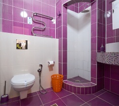 3-х местный без балкона в Диса