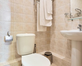 Номер стандарт с 3 односпальными кроватями в Термы Плюс