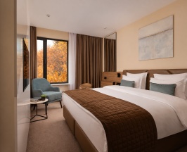 СТАНДАРТ с одной широкой кроватью в Palmira Garden Hotel & SPA