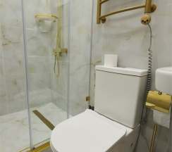 Стандарт 401 в Gold City